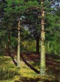 太陽に照らされた松 1886 古典的な風景 イワン・イワノビッチの木々